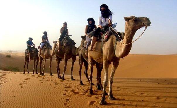 Camel Trekking Tour from Marrakech