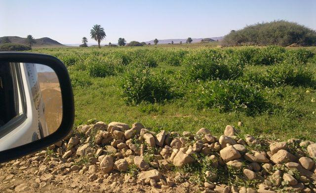 Day Trip To Ouzoud Waterfalls