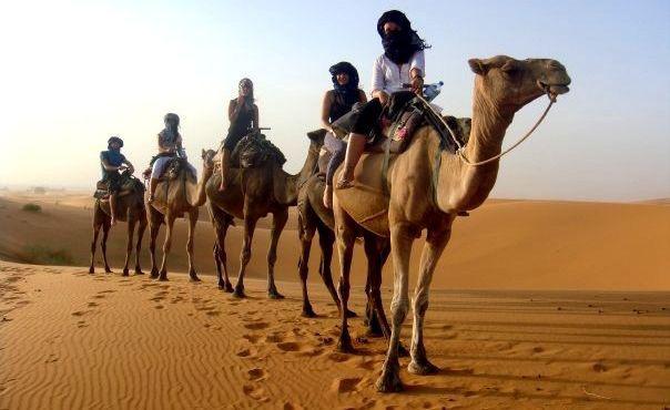 Excursion Au Desert De Zagora  Jours