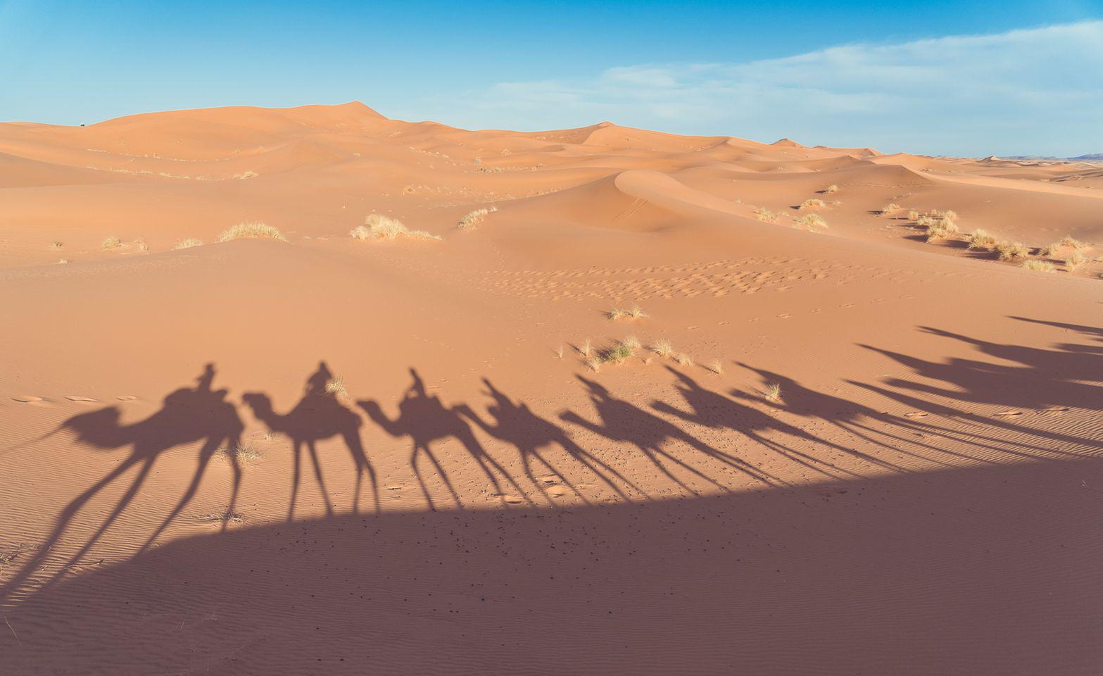 Zagora escursione nel deserto 2 giorni